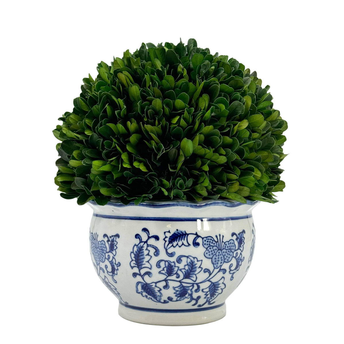 Boxwood Ball Topiary in Round Bulb Blue & White Ceramic Pot