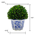 Boxwood Ball Topiary in Hexagon Blue & White Ceramic Pot