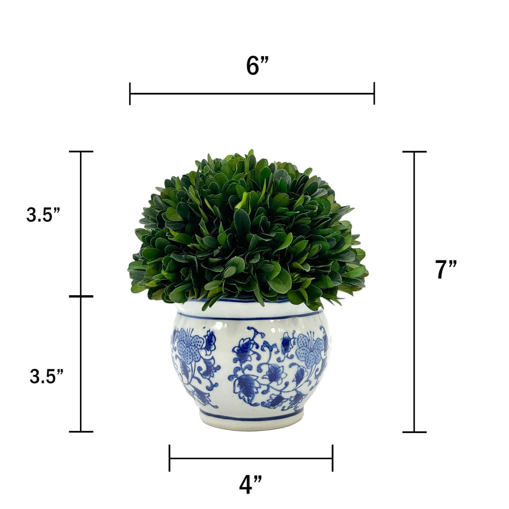 Boxwood Ball Topiary in Round Bulb Blue & White Ceramic Pot