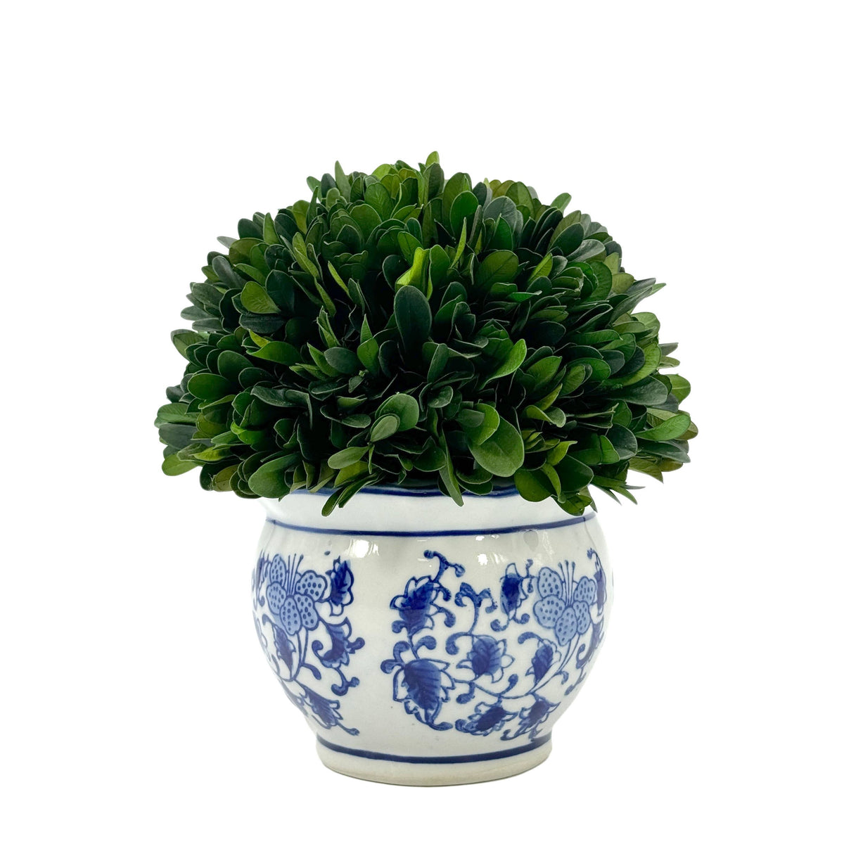 Boxwood Ball Topiary in Round Bulb Blue & White Ceramic Pot