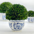 Boxwood Ball Topiary in Round Bulb Blue & White Ceramic Pot