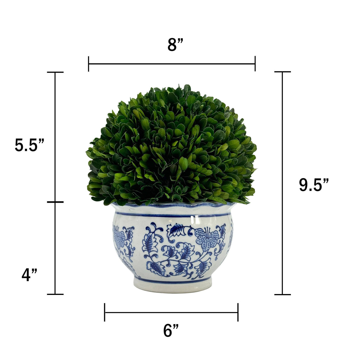 Boxwood Ball Topiary in Round Bulb Blue & White Ceramic Pot